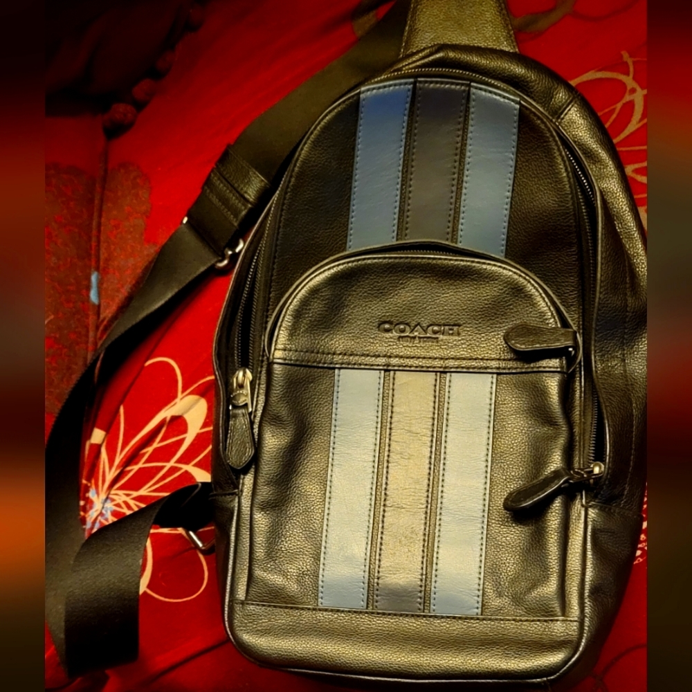 COPY - Coach Blue Varsity Stripe Slingback bag